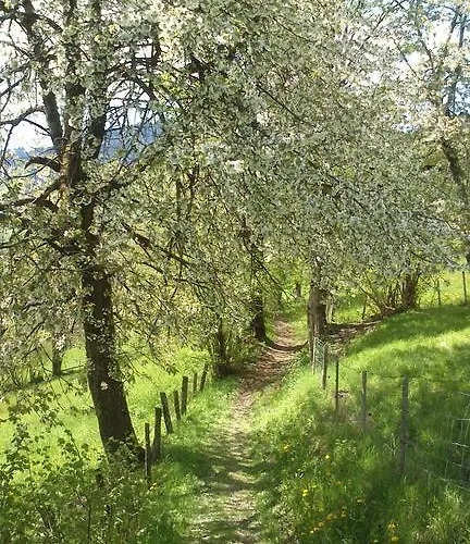 아파트 Haus Rosenegg 브릭센임탈