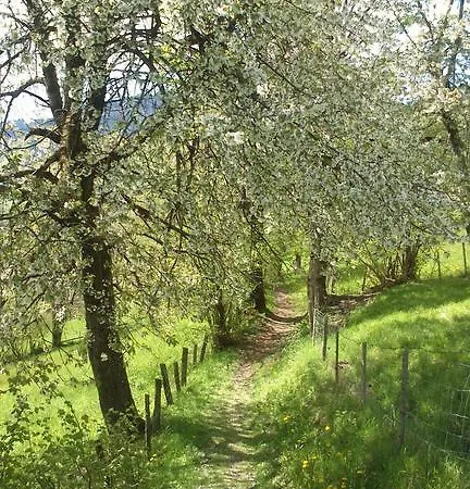 Apartman Haus Rosenegg Brixen im Thale